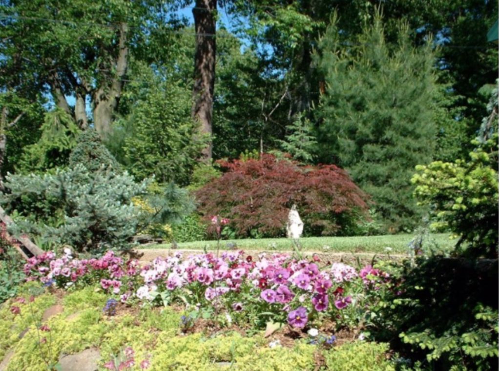 Home MCR Landscaping MCR Horticultural Enterprises